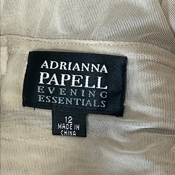 Adrianna Papell Events Essentials Elegant Beige Two-Piece Skirt Set. Size 10/12 - Picture 7 of 9